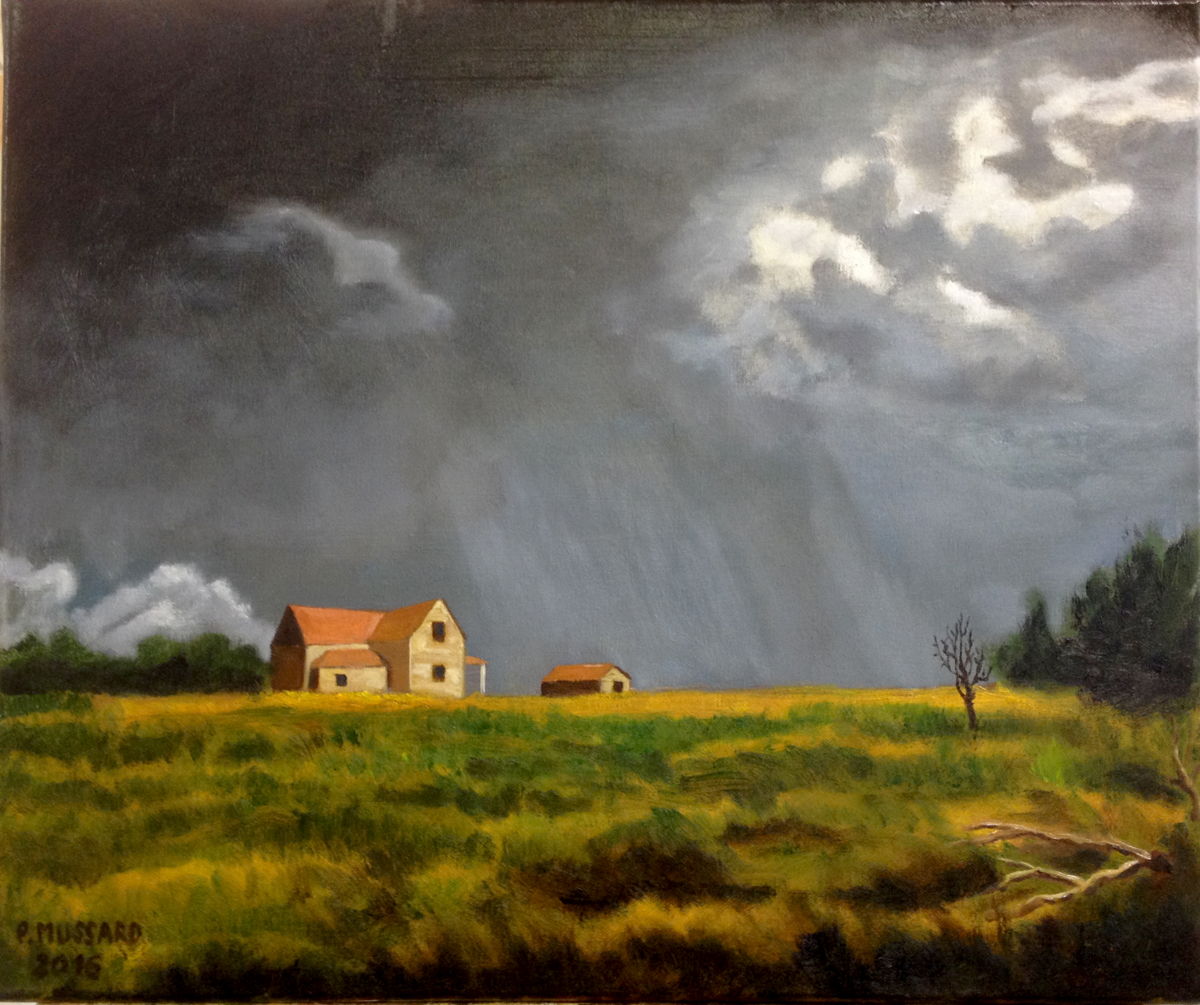 L'orage sur la prairieJPG